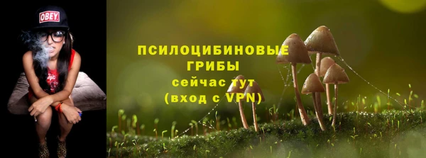 МДПВ Майский
