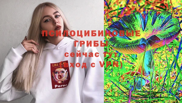 тгк Лиски