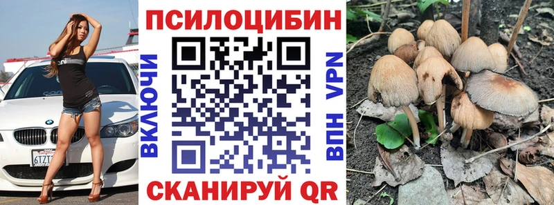 Псилоцибиновые грибы прущие грибы Боготол